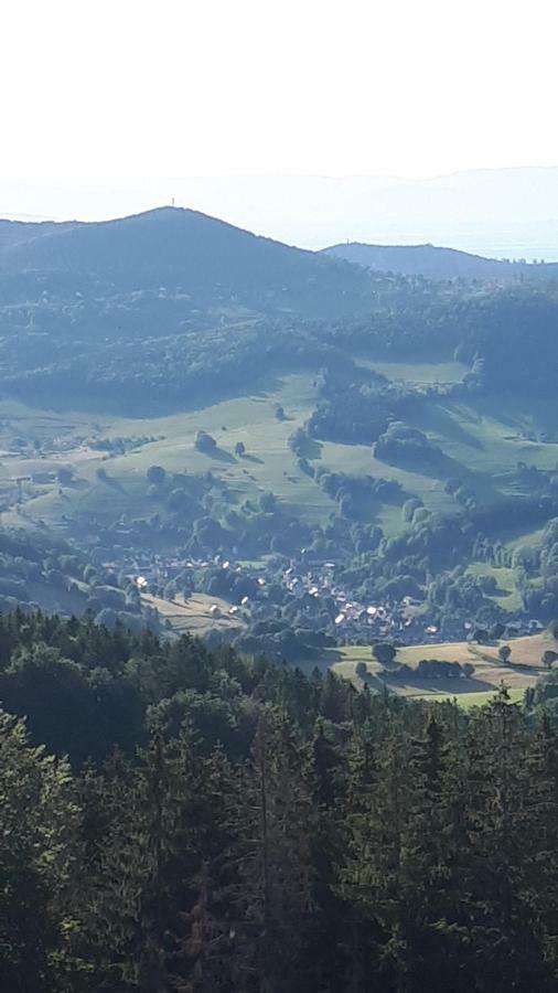Les O Welches Cote Lac Orbey Bagian luar foto